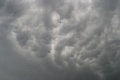 Eifelmammatus0507 027a.jpg